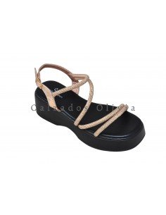 Calzados y zapatos TF-2512 CHAMPAN 2