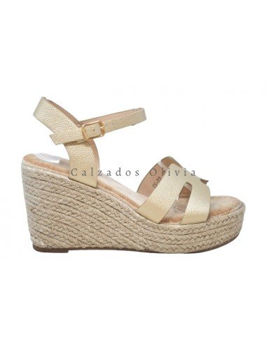 Zapatos y Calzados EMS-CK-22 GOLD