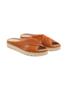 Calzados y Zapatos BTT-5088 ORANGE