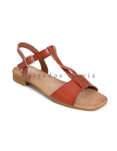 Zapatos y Calzados TY-YZ23-127 MARRON