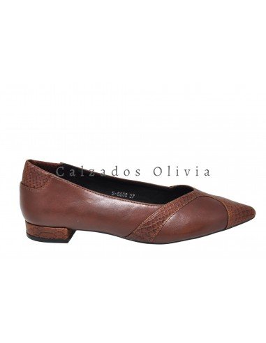 Zapatos y Calzados BTT-5508 BROWN