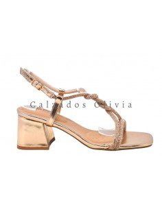 Calzados y Zapatos TY-BQ23-26 CHAMPAN