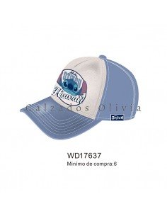 Calzados y Zapatos PP-WD17637