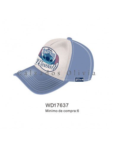 Zapatos y Calzados PP-WD17637