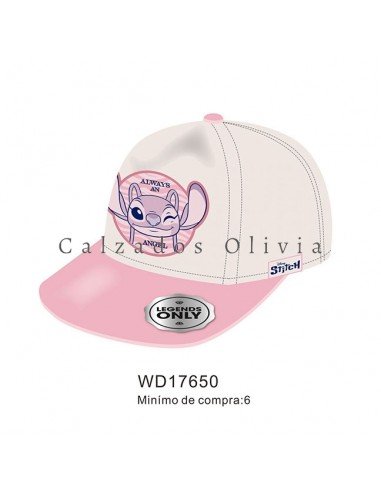 Zapatos y Calzados PP-WD17650