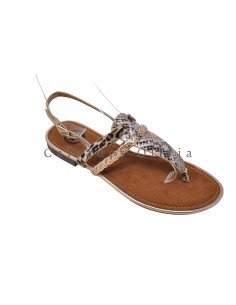 Calzados y zapatos EMS-VV-98 CHAMPAN 2