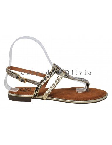 Zapatos y Calzados EMS-VV-98 GOLDx