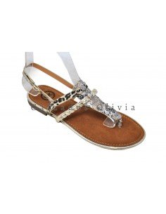 Calzados y zapatos EMS-VV-98 GOLDx 2