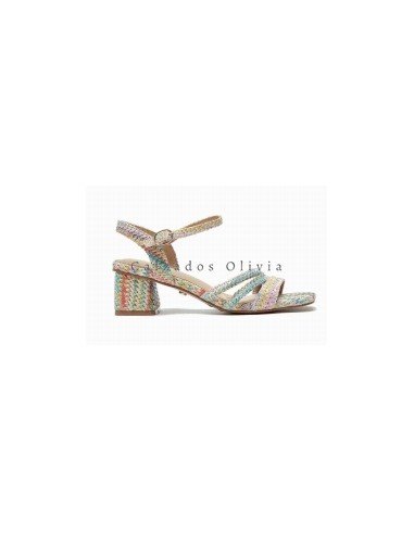 Zapatos y Calzados BTT-3473 MULTY