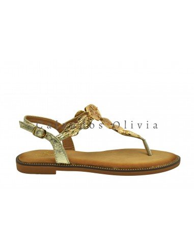 Zapatos y Calzados TF-5552 GOLD