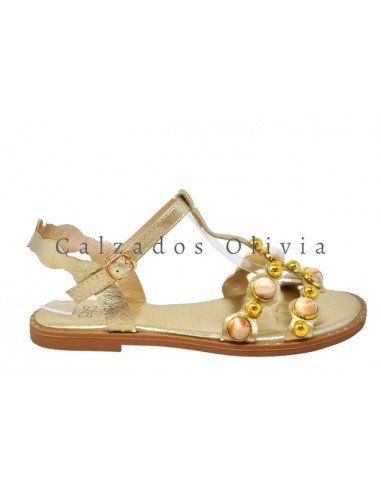 Zapatos y Calzados EMS-AA-40 GOLD