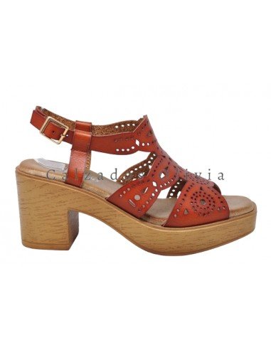 Zapatos y Calzados TY-YZ23-129 BROWN
