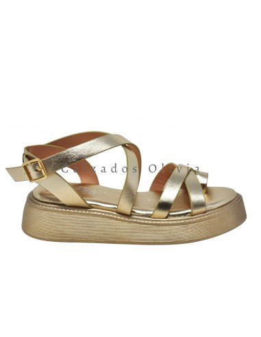 Zapatos y Calzados TY-HF82 GOLD