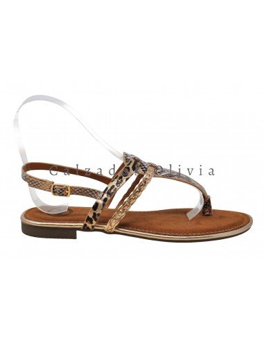 Zapatos y Calzados EMS-VV-98 CHAMPAN
