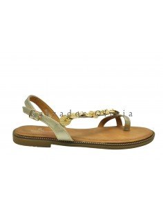 Calzados y Zapatos TF-6065 GOLD