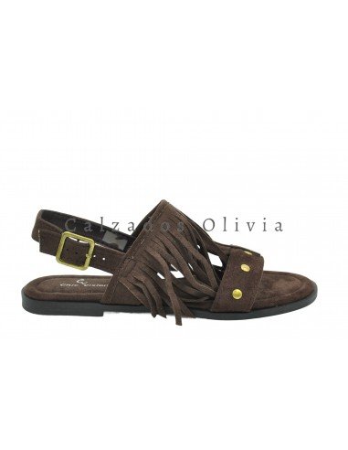 Zapatos y Calzados TF-6062 BROWN