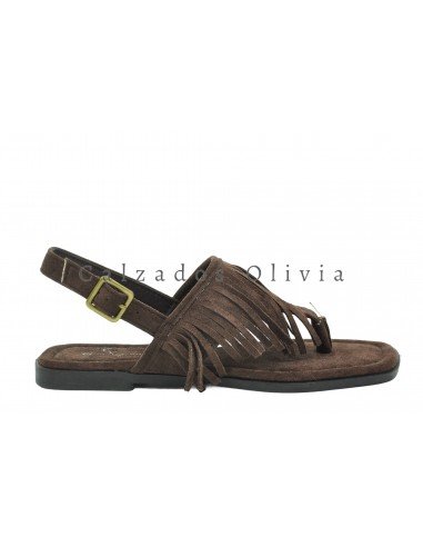 Zapatos y Calzados TF-6061 BROWN