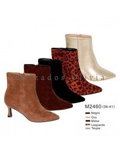 Calzados y Zapatos PP-M2460