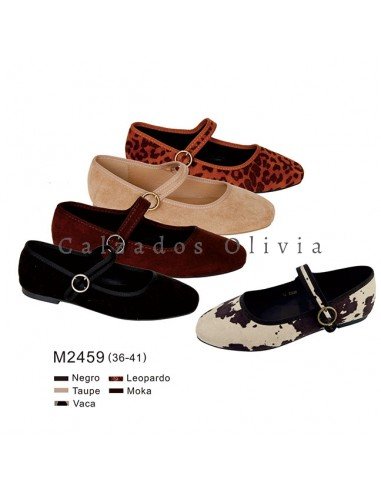 Zapatos y Calzados PP-M2459