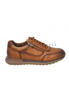 Calzados y Zapatos EMS-BB-127 BROWN