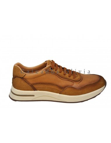 Zapatos y Calzados EMS-BB-117 BROWN